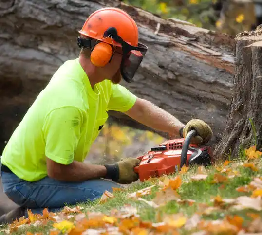 tree services Gardnertown